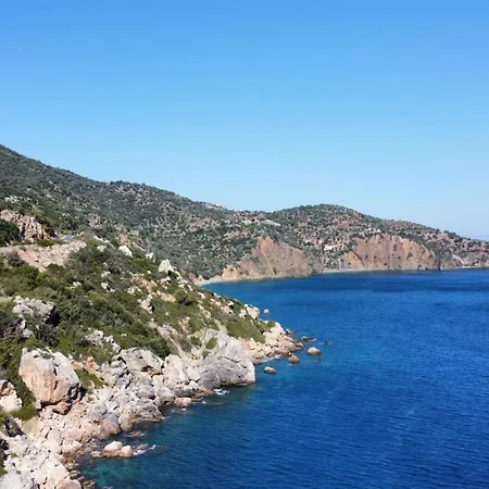 Semesterbostad Alexander House 2