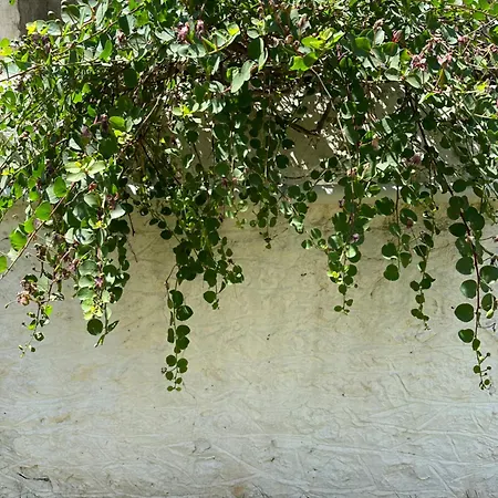 Alexander House 2 Σπίτι διακοπών *