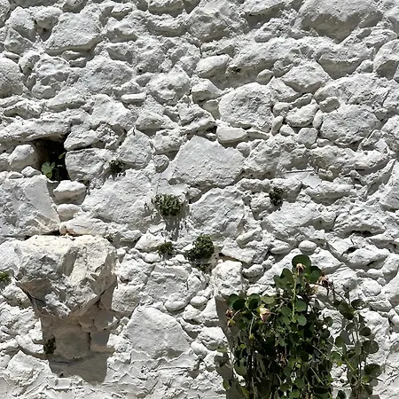 Σπίτι διακοπών Alexander House 2 *