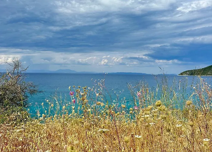 Hébergement de vacances Alexander House