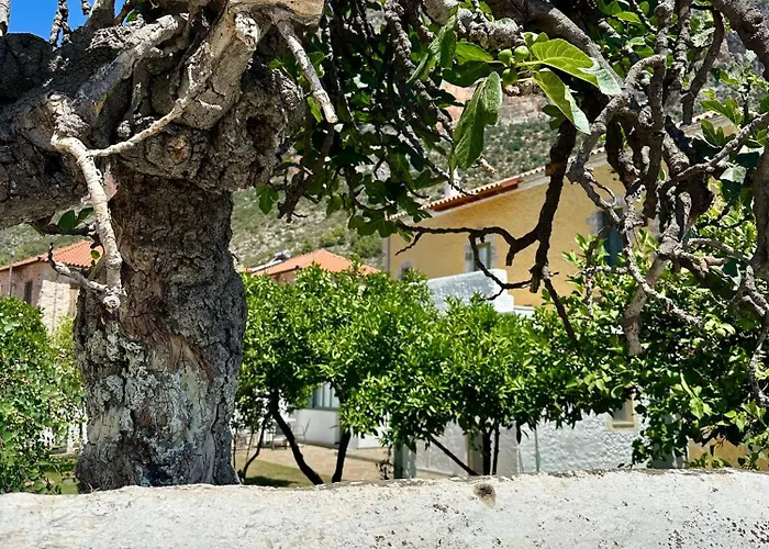 Alexander House Hébergement de vacances