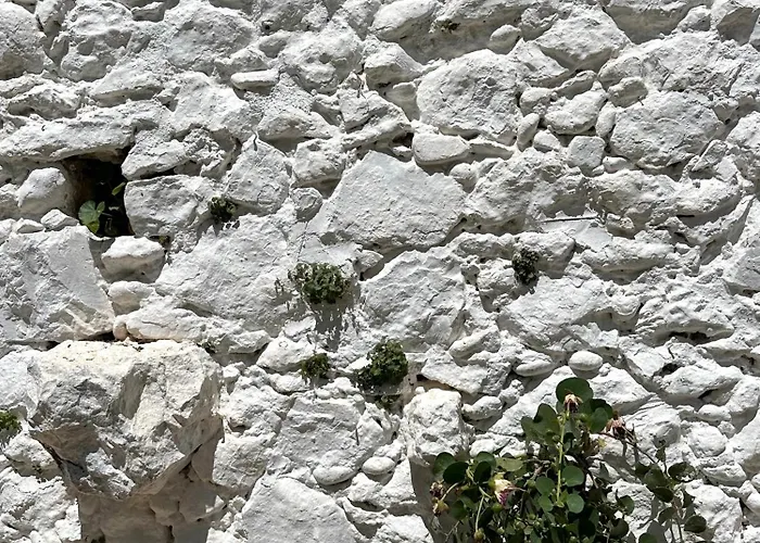 Hébergement de vacances Alexander House *