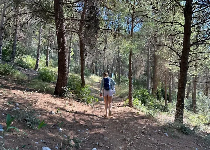 Alexander House Hébergement de vacances